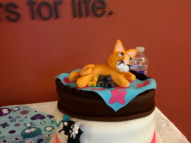 Insights Gained from FPF's Workshop on Privacy-Protecting Technologies