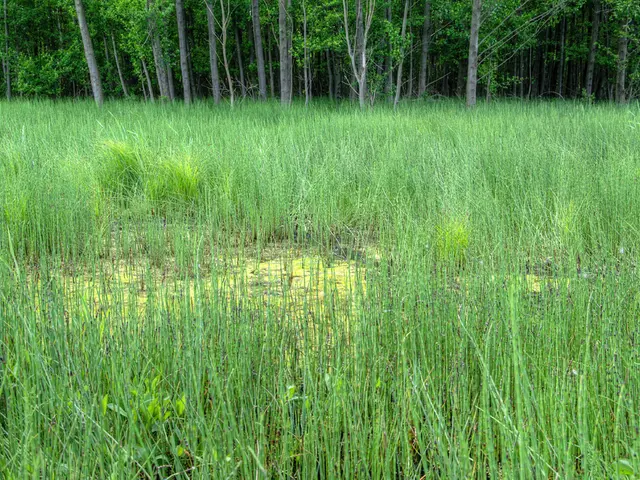 Agricultural technology (agtech) implementation struggles, but a Minimum Viable Ecosystem (MVE)...