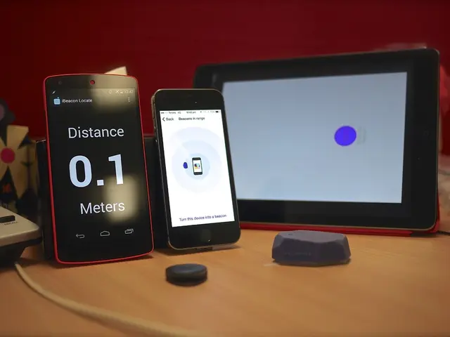 Researchers are uncovering the intricacies of the brain's structure