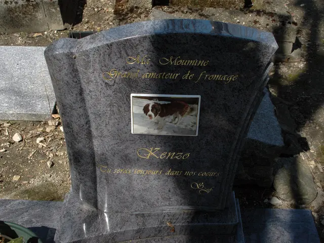 Baldur's Gate 3's esteemed companion, Shadowheart, dominates in terms of character customization....