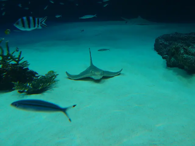 Extraterrestrial Life Unearthed: Remarkable Alien Species Discovered Beneath Our Soil