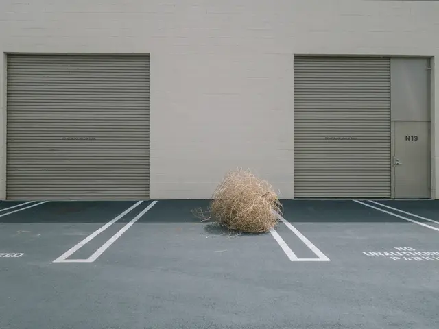 The Benefits of Fiber for Ecological Preservation