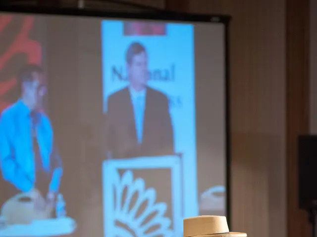 Audio Technology Integrated into Wearable Hat for Immersive Sound Experience