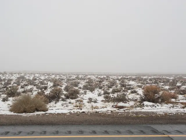 Redefining Earth mapping on a global scale through Google's new project, AlphaEarth: a virtual...