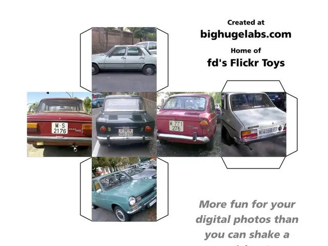 Exploring the Digital Age: Obstacles and Opportunities Revealed