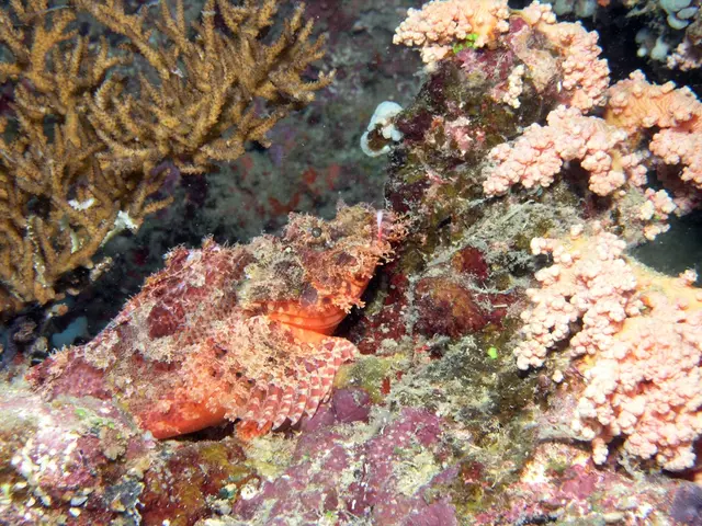 Take a left in the frosty weather