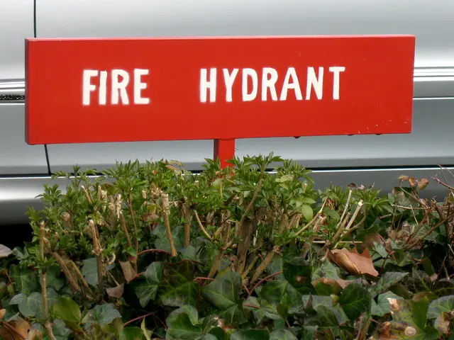 Hydrogen rights application broadens the possibilities for Beaver-Lynx Project by Inomin Enterprise