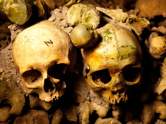 Discovery of Soft Tissue Fossil from Giant Ichthyosaur May Alter Perspectives on Ancient Sea...