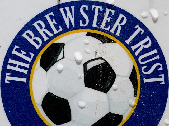 Experienced poor results using Adobe's Fantasy Premier League logo maker, disappointing even...