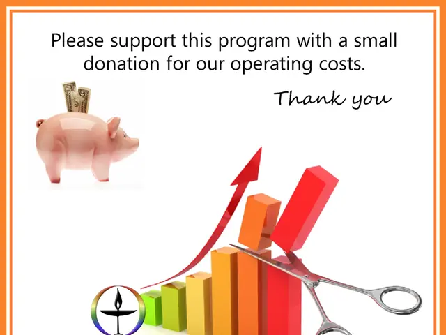 Competitors challenging Wise's position in the Indian market