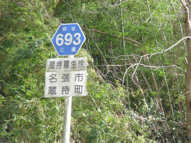 High-Utility Token Other Than Chainlink (LINK) Could Be the Overlooked 10x Opportunity in 2025