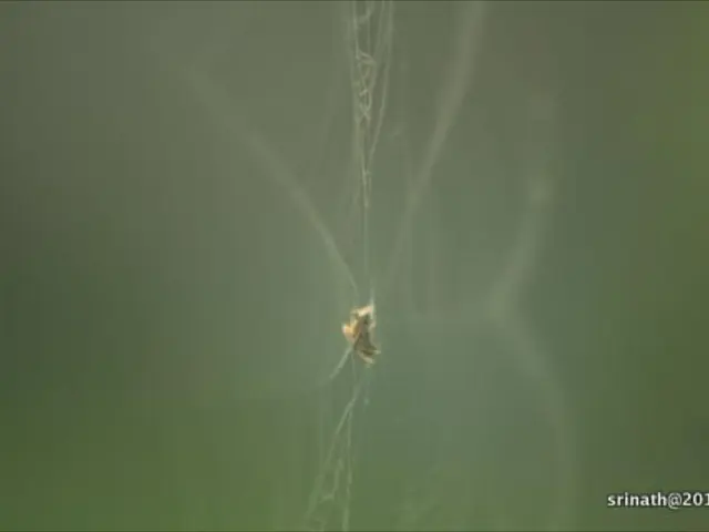 Experiencing issues with website loading? Discover the true meaning behind those error messages