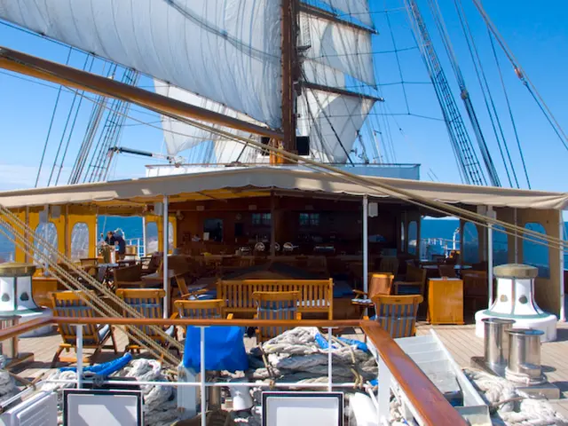 Rich magnate halts Starship lunar mission