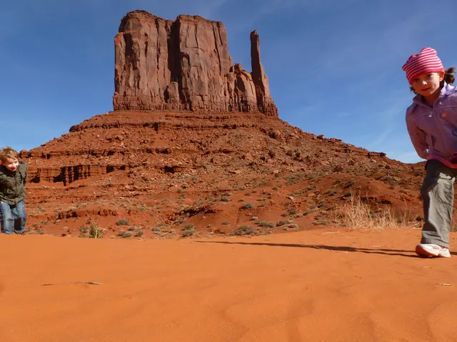 Federal Economic Advisor Appointed by Trump Bolsters Cryptocurrency Enthusiasm and Bitcoin Optimism...