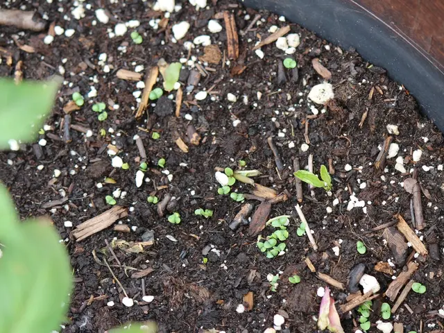 Various Chemical Fertilizers Employed in Indian Crop Production