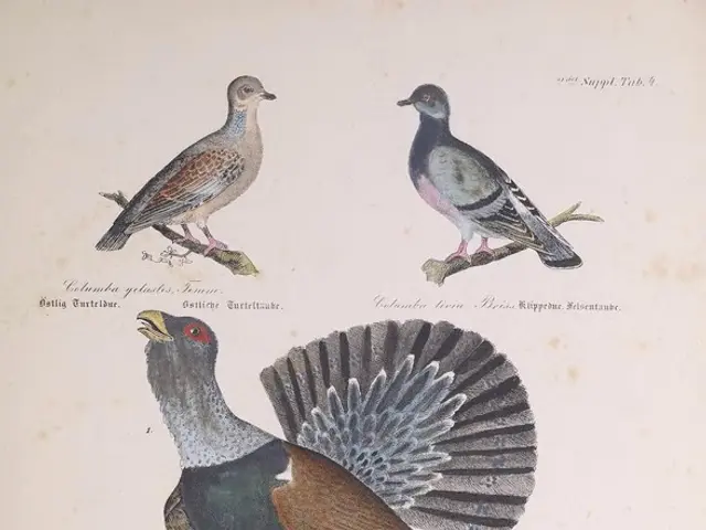 Bookstore chain, Barnes and Noble, introduces geolocation for popular mobile game, Angry Birds