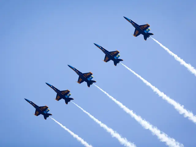 Soaring Ahead with Sustainability: Nico Nicholas, co-founder and CEO, discusses the ascendancy of...