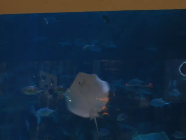 Neptune Systems DOS QuietDrive: Responding to Your Inquiries Directly