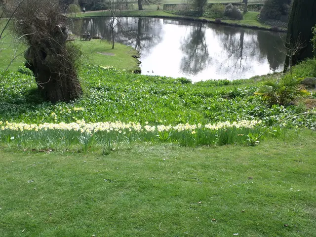 Today's surge in Bloom Energy stock prices
