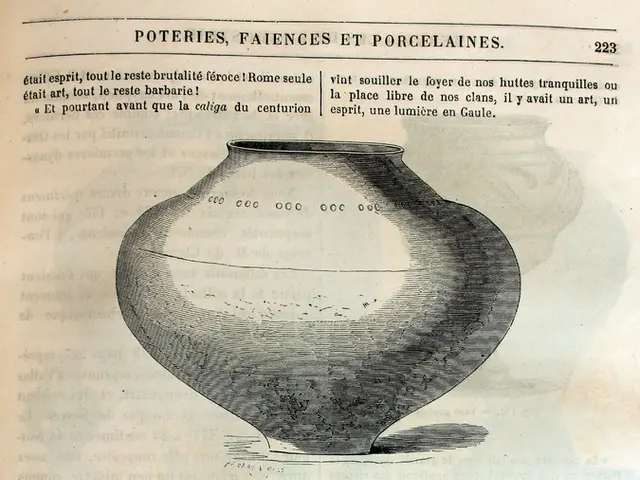 Safeguarding Solar Elements' Integrity: Employing 2K Silicone Sealants for Solar Electronic Devices