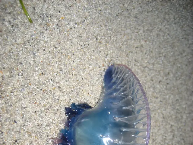 Server Maladies: 4 Potential Menaces to Your Data Centre and Preventive Measures