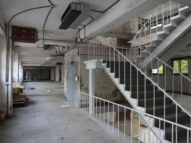 Company unveils new tool Analytika