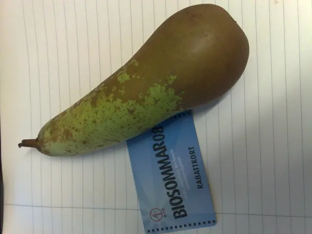 "Former Checkout.com executive assumes role of Chief Product Officer at GoCardless"