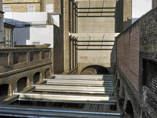 Elon Musk plans to construct subterranean passageways.