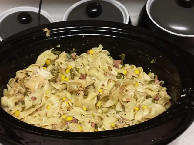 Air Fryer miniaturized: Instant Pot introduces compact appliance line