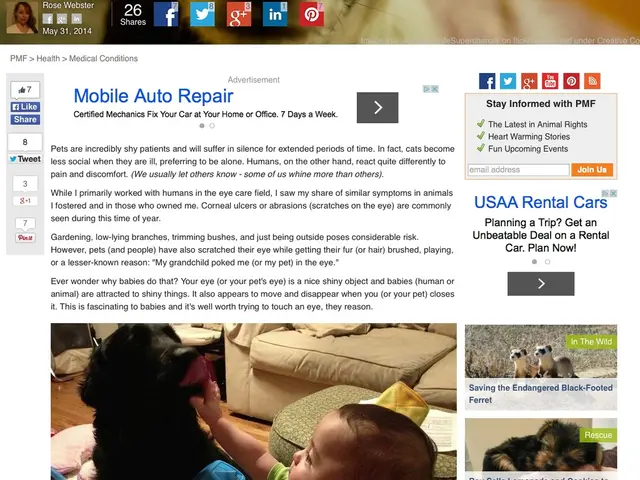 The Reason behind JavaScript's Widespread Adoption