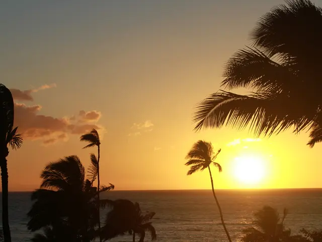 Groundbreaking Advancement in AI Research at NYUAD promises promising prospects in predicting solar...