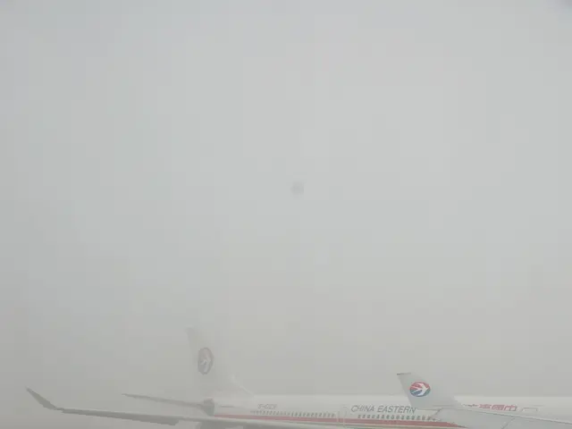 Autonomous automobiles may soon be seen operating at a local airport