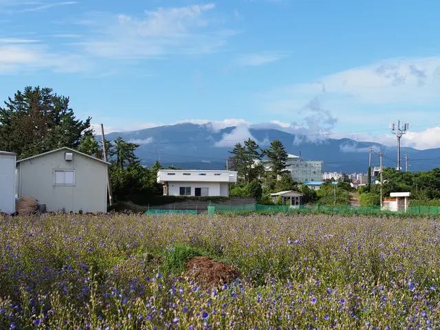 Startup Claims Breakthrough in Heat Pump Cost Reduction - Insights Revealed