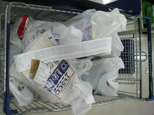 India's Ship Dismantling: Striving for Environmental Responsibility and Economic Expansion