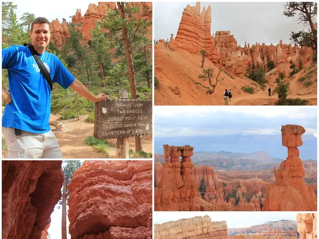 Red Cliff Battle Resplendent with Christie's Masterpieces