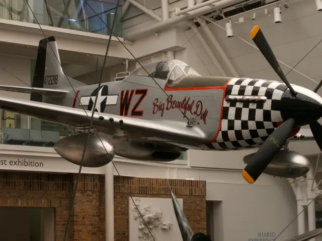 Richard Dolan - Identified Individual in Focus