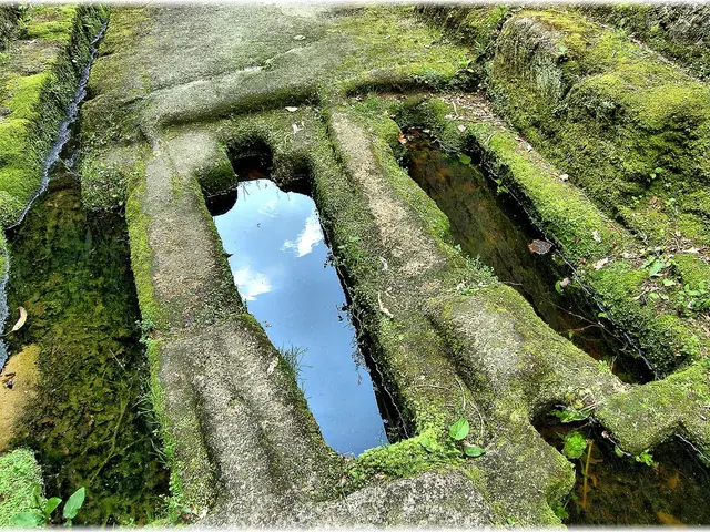 Announced Winners of the 2024 Green Chemistry Competition