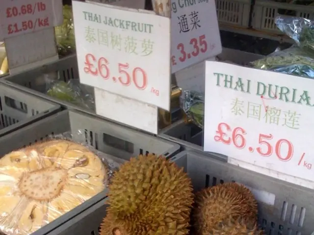 Commission's Disclosure: No Details Revealed Regarding Grant Aid Allocated to Beneficiary