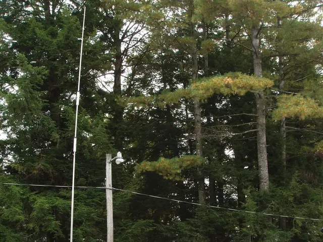 There is a caravan with windows and doors. In front of that there are tables, boxes and trolley. On...