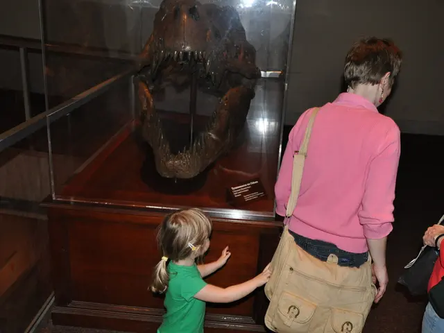 In this image there is a kid and two people, behind them there is an artifact in a glass box with a...