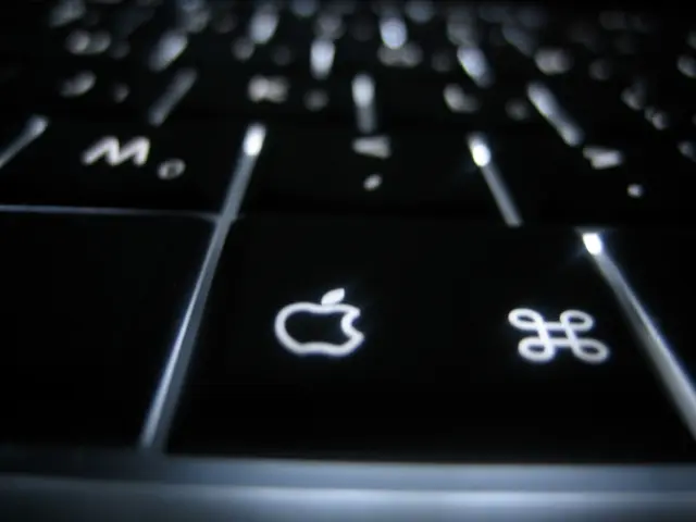 A picture of keyboard keys. On this black key we can see a logo of an apple product.