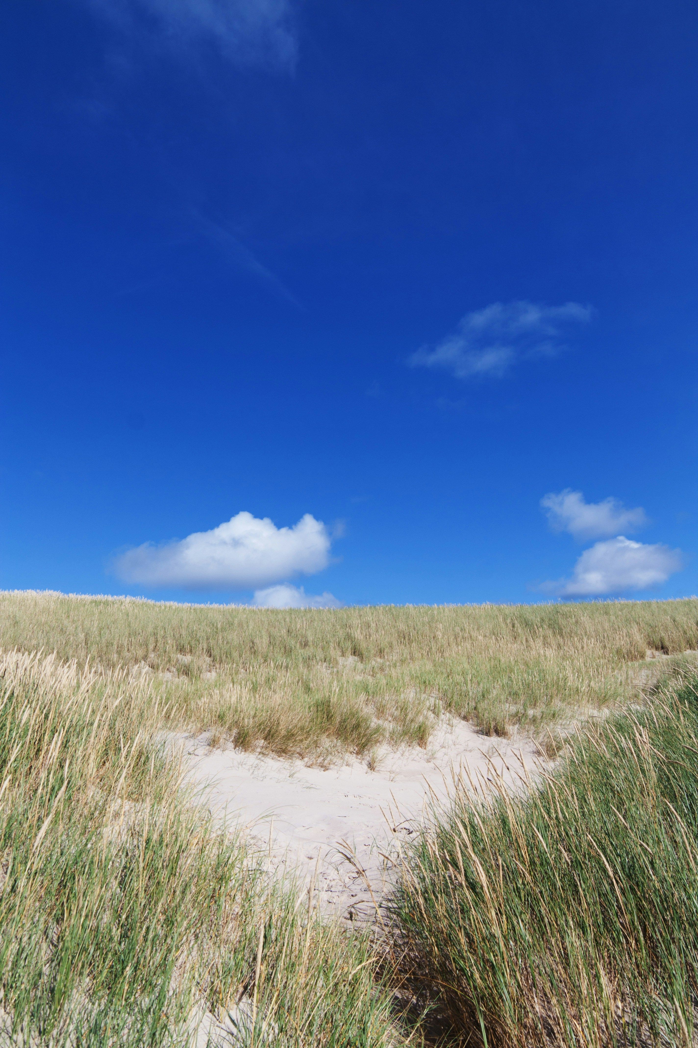 Mobile version of Call of Duty (COD) tests Auto Lean feature during Season 5 trial, mimicking...