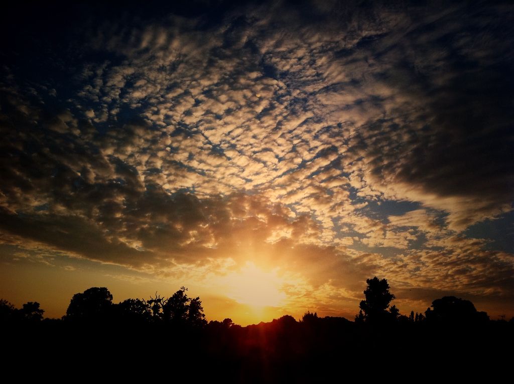 Banking app usage is on the rise, as indicated by a recent survey. Let's explore how technology...