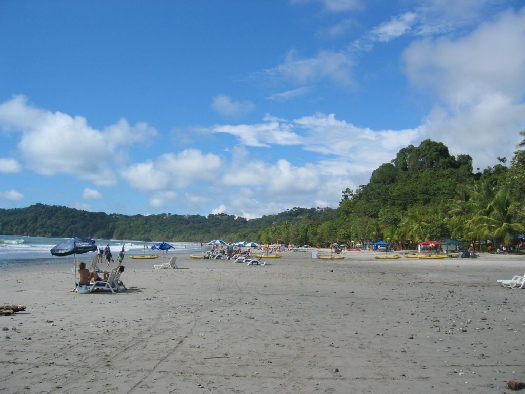 Genetic testing firm 23andMe, led by CEO Anne Wojcicki, wants to transition the company from public...