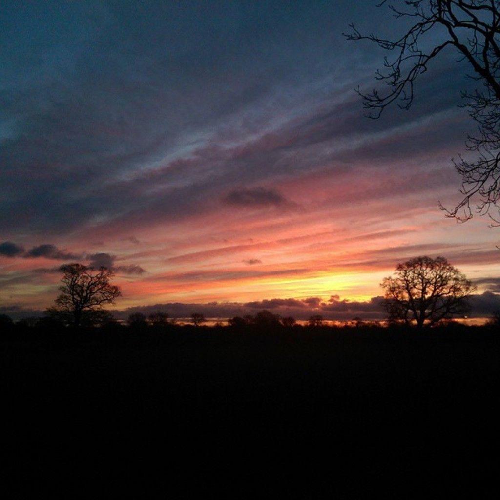 Discover Jintu Das, a tech-savvy Software Engineer hailing from Assam, India, who channels his...